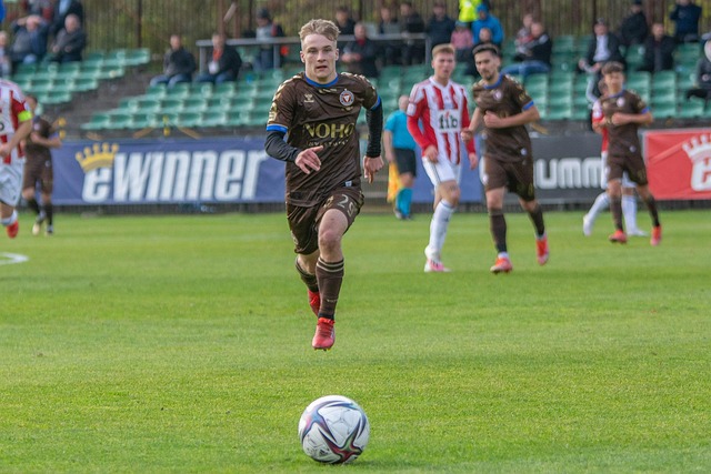 他以其突出 他以其突出